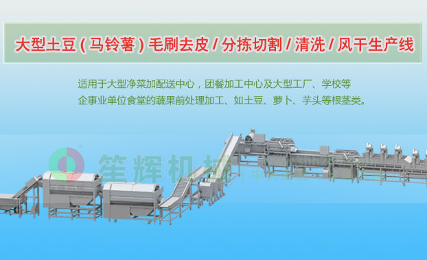 武陵连续式土豆去皮清洗切割风干生产线